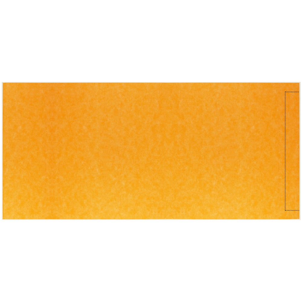 Schluter Systems Kerdi-Shower-Linear-Tray 38-in X 76-in Side