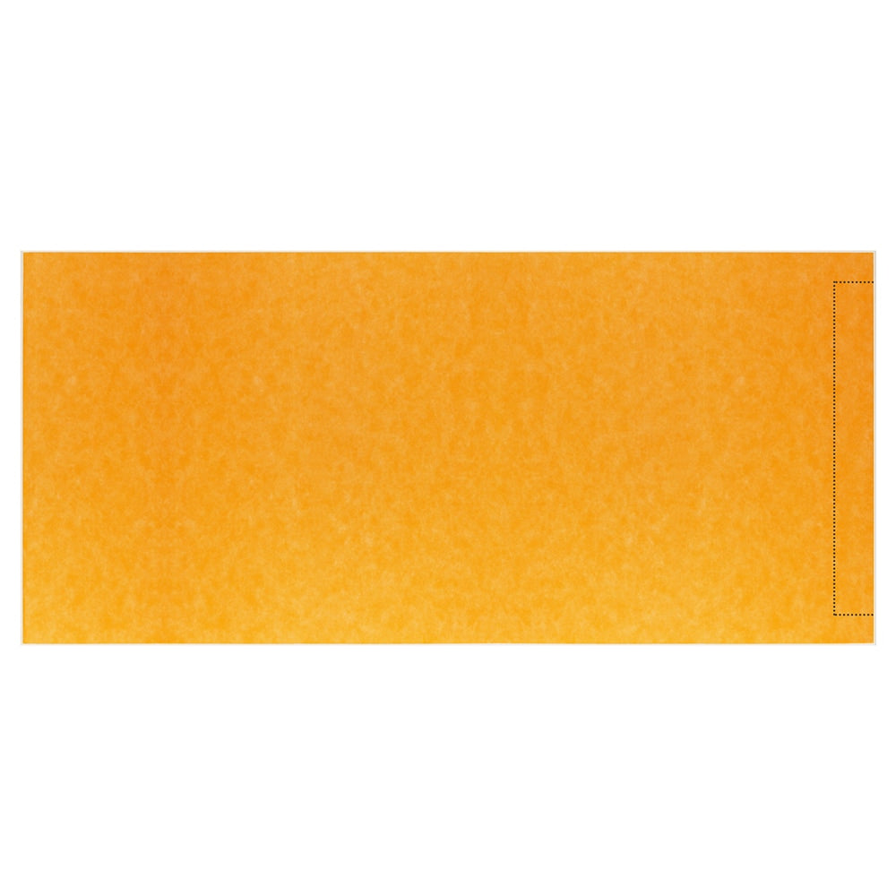 Schluter Systems Kerdi-Shower-Linear-Tray 36-in X 72-in Side