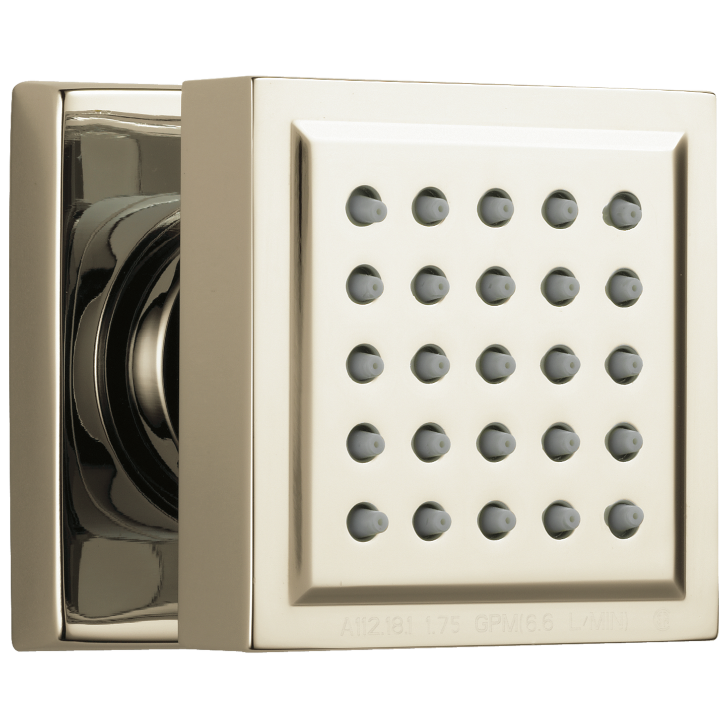 Delta Lumicoat Polished Nickel Shower Jet