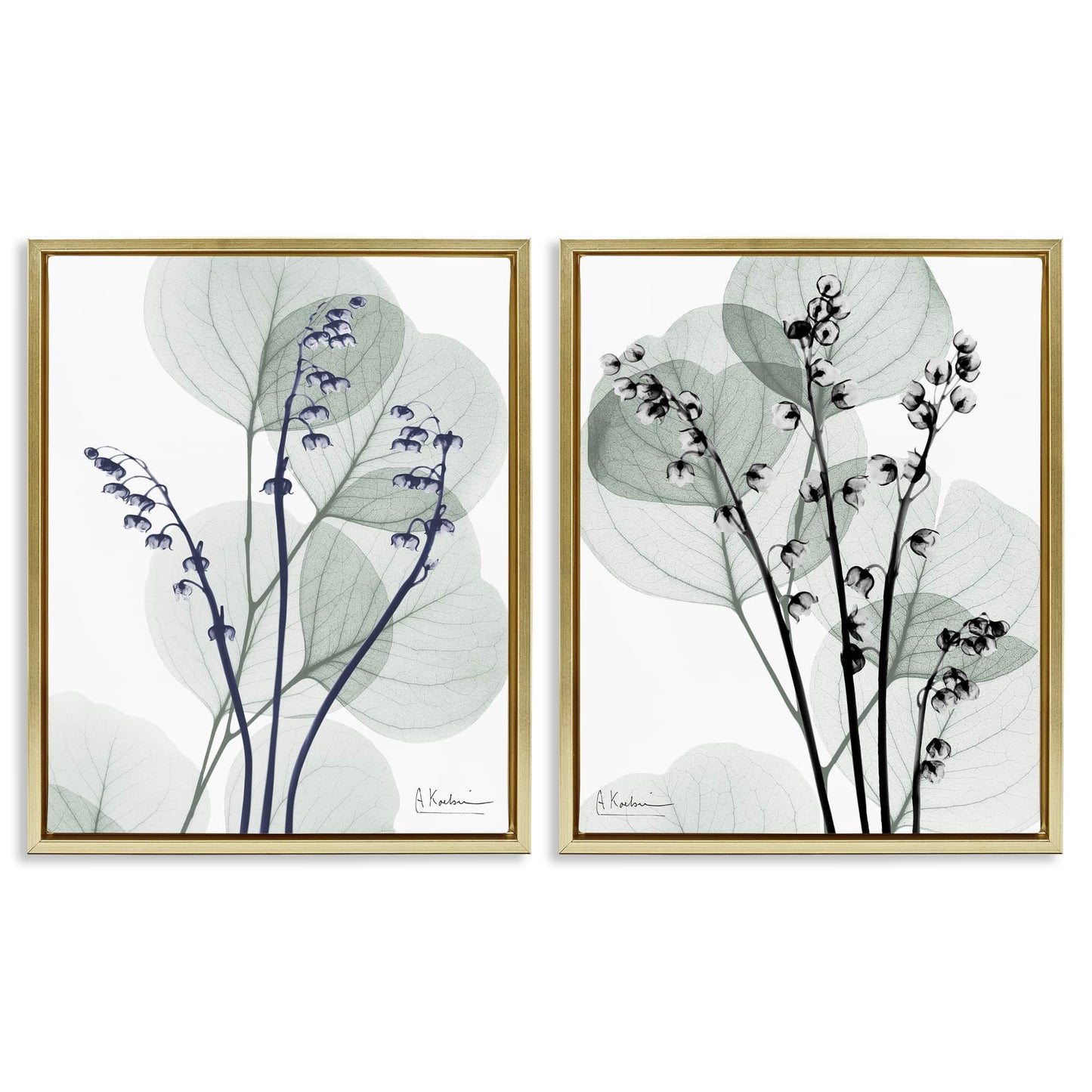 Stupell Industries Future Dusk Opaque Herbs 2pc Floating Frame Set Design by Albert Koetsier