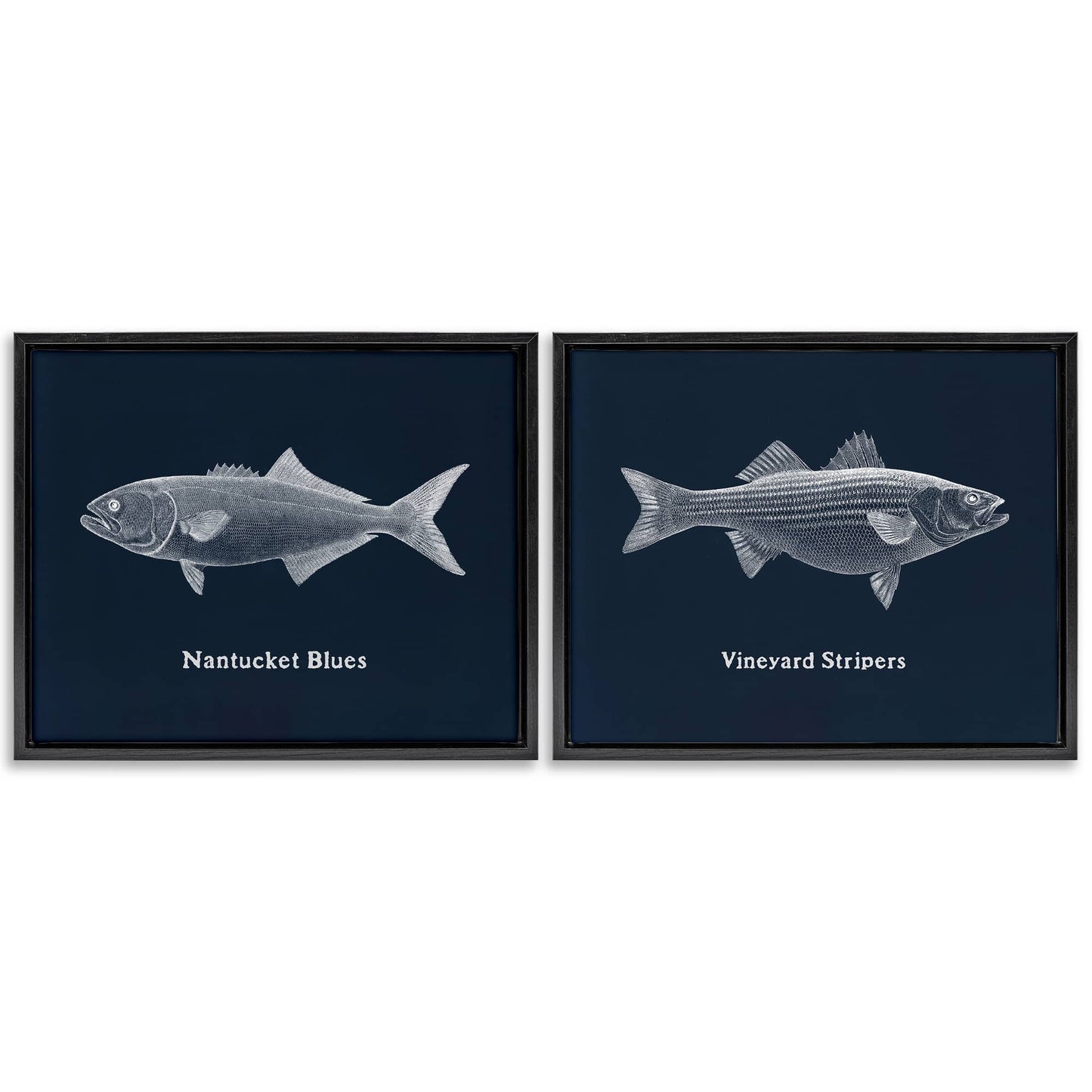 Stupell Industries Harbor Fish Phrases 2 Piece Black Framed Floater Canvas Set By Phillipa Katz 31 x 25