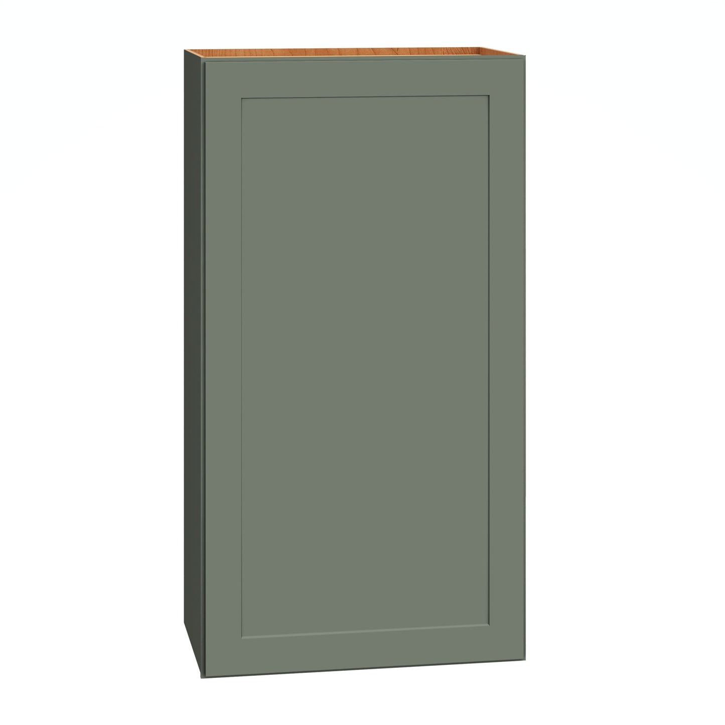 Diamond Express Jamestown 21-in W x 39-in H x 12-in D Retreat Green Wall Fully Assembled Plywood Cabinet Recessed Panel Shaker