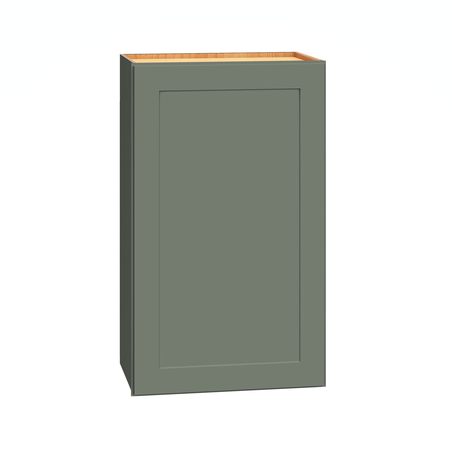 Diamond Express Jamestown 18-in W x 30-in H x 12-in D Retreat Green Wall Fully Assembled Plywood Cabinet Recessed Panel Shaker