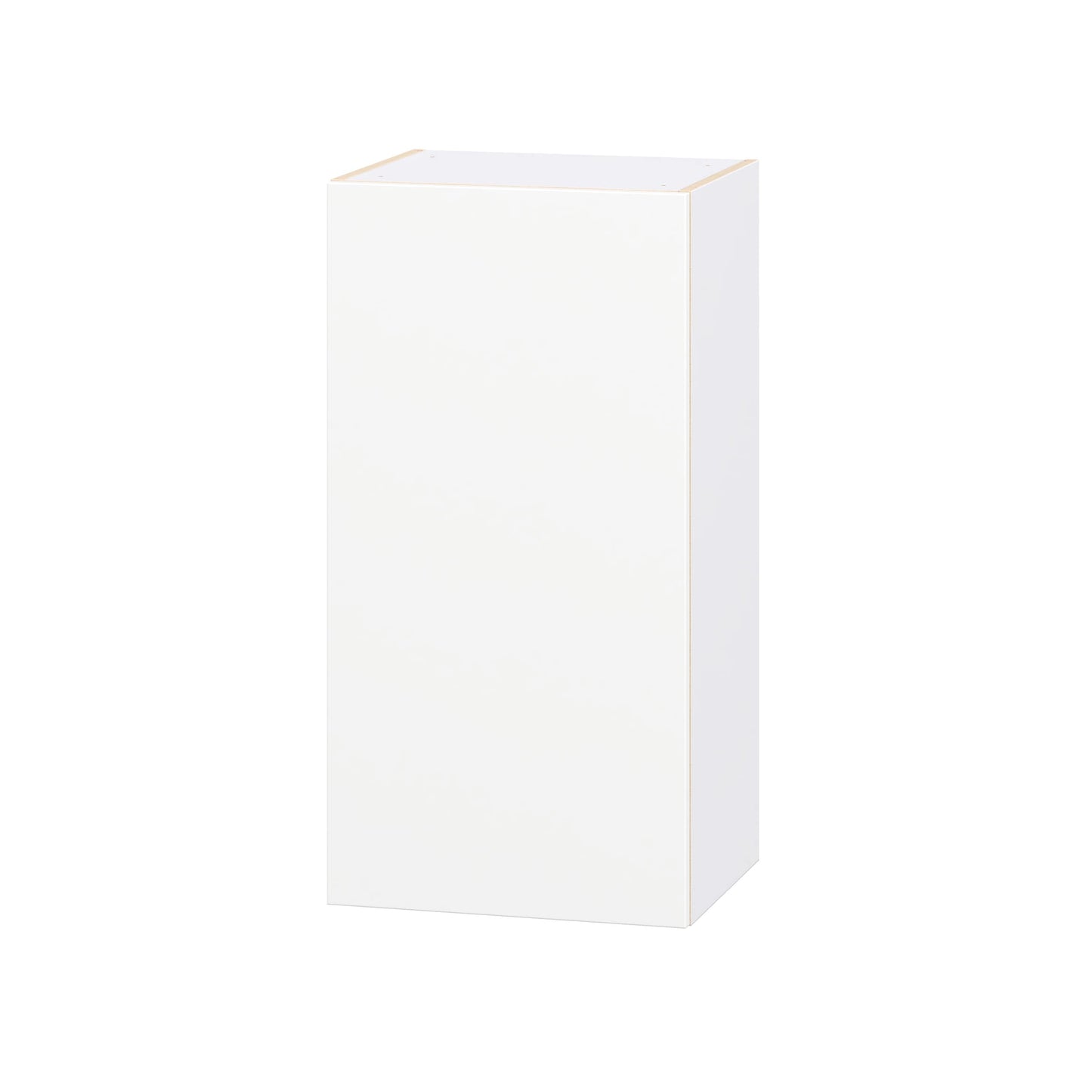 Hugo&Borg Lasalle 18-in W x 35-in H x 14.75-in D Bright White Slab Wall Fully Assembled Cabinet Flat Panel Slab