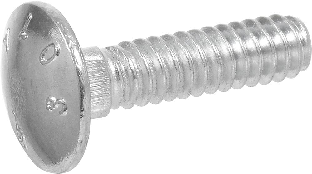 Hillman 3/4-in x 12-in Zinc-plated Coarse Thread Interior Carriage Bolt 20 -Count