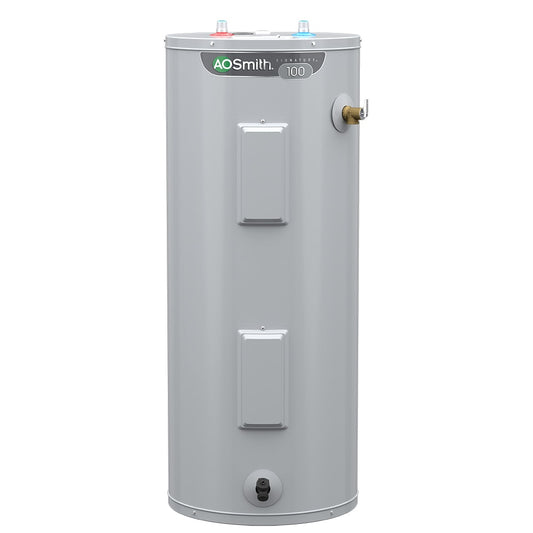 A.O. Smith Signature 100 30-Gallon Tall 6-year Warranty 4500-Watt Double Element Electric Water Heater