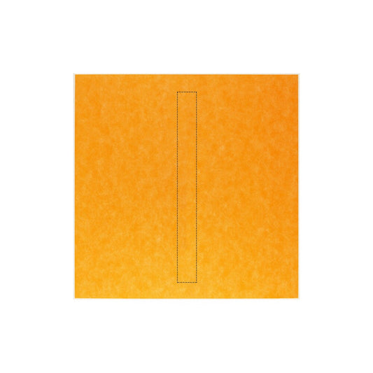 Schluter Systems Kerdi-Shower-Linear-Tray 55-in X 55-in Center