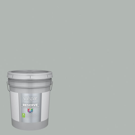 Valspar Reserve Eggshell Smoke Infusion 5002-1B Interior Paint Paint + Primer ( 5-gallon )
