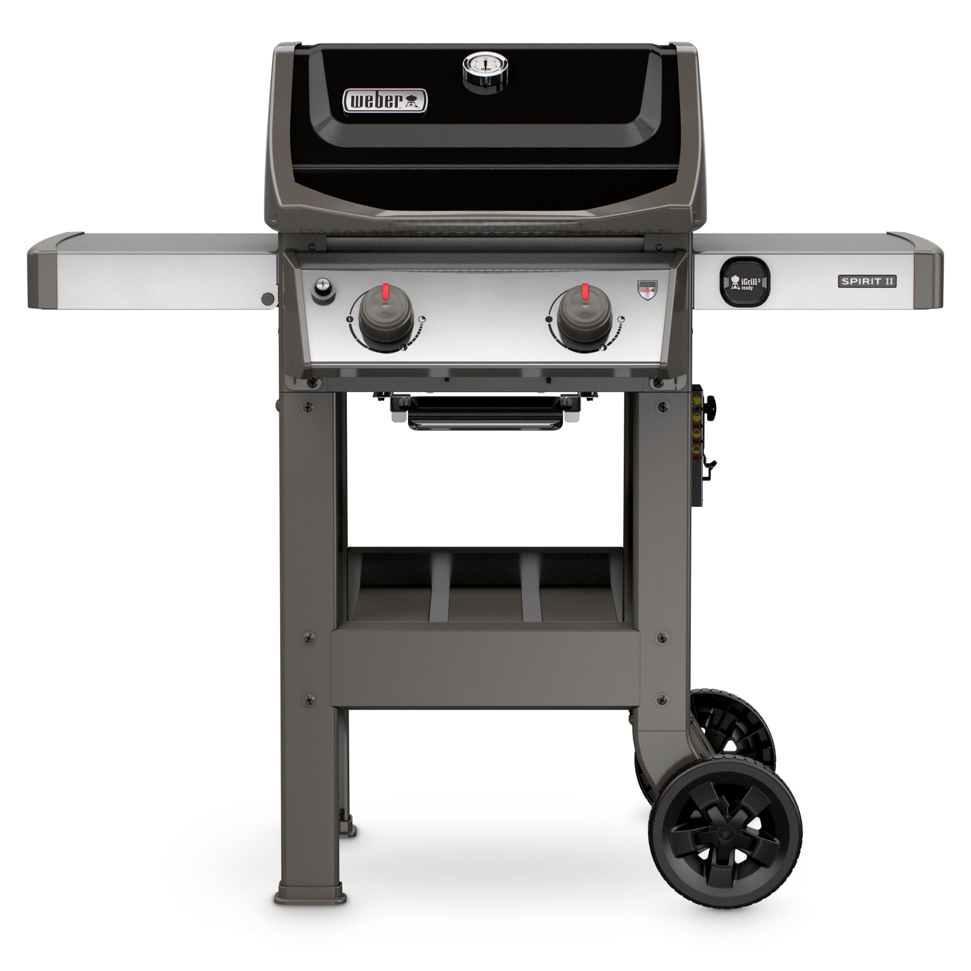 Weber E-210 Black 2 -Burner Liquid Propane Gas Grill