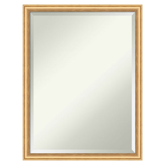 Amanti Art Salon Scoop Gold Frame 20-Inches W x 26-Inches H Rectangle Salon Scoop Gold Framed Vanity Mirror