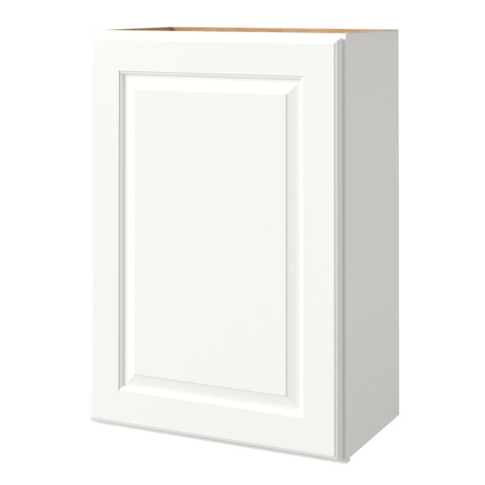 allen + roth Tilson 21-in W x 36.125-in H x 12-in D Linen Wall Fully Assembled Cabinet Raised Panel Square