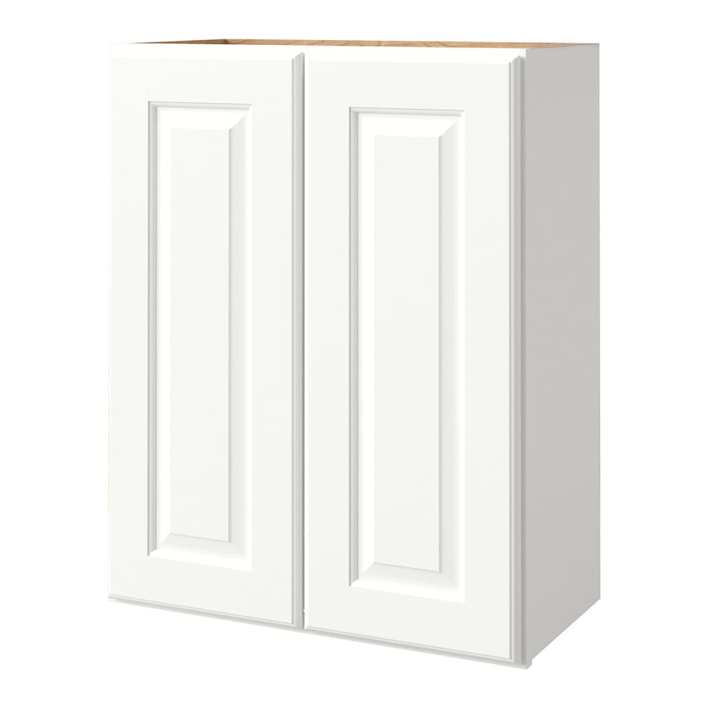 allen + roth Tilson 24-in W x 30.125-in H x 12-in D Linen Wall Fully Assembled Cabinet Raised Panel Square