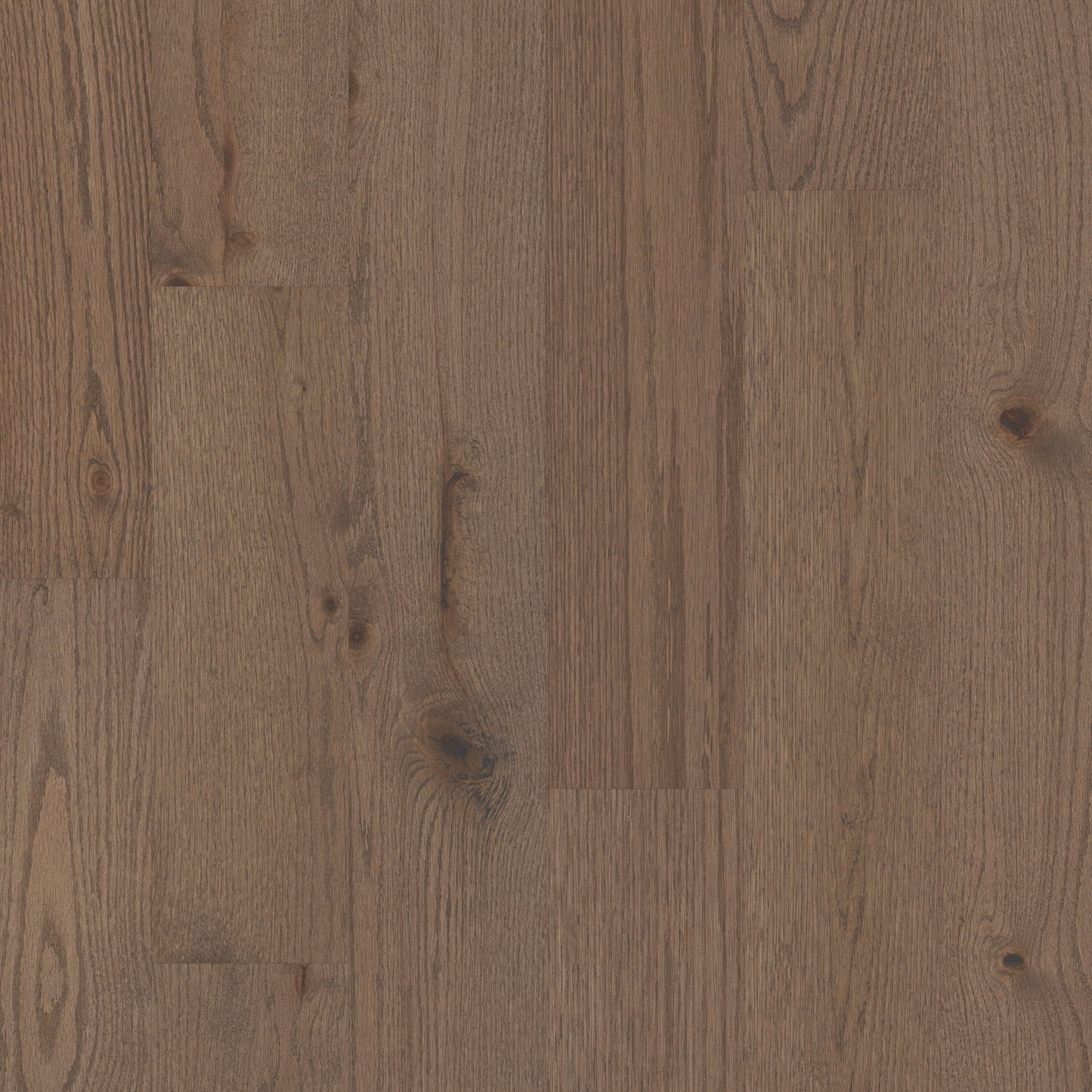 Shaw Kenai Oak Kiefer Oak 3/8-in T x 6-3/16-in W Water Resistant Wirebrushed Engineered Hardwood Flooring ( 30.48-sq ft / Carton )