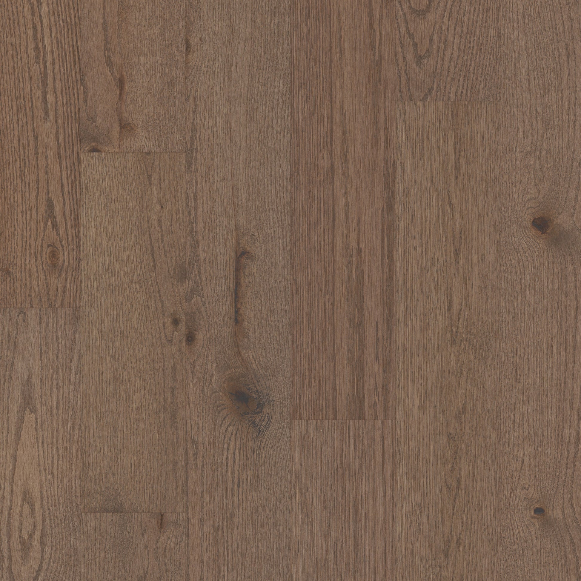 Shaw Kenai Oak Kiefer Oak 3/8-in T x 6-3/16-in W Water Resistant Wirebrushed Engineered Hardwood Flooring ( 30.48-sq ft / Carton )