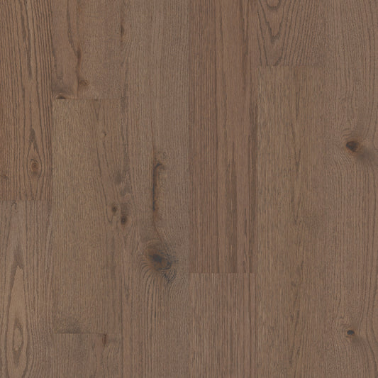 Shaw Kenai Oak Kiefer Oak 3/8-in T x 6-3/16-in W Water Resistant Wirebrushed Engineered Hardwood Flooring ( 30.48-sq ft / Carton )