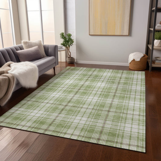 Addison Rugs Chantille ACN993AL 9 x 12 (ft) Loomed Polyester Aloe Rectangular Indoor/Outdoor Machine washable Pet Friendly Area rug