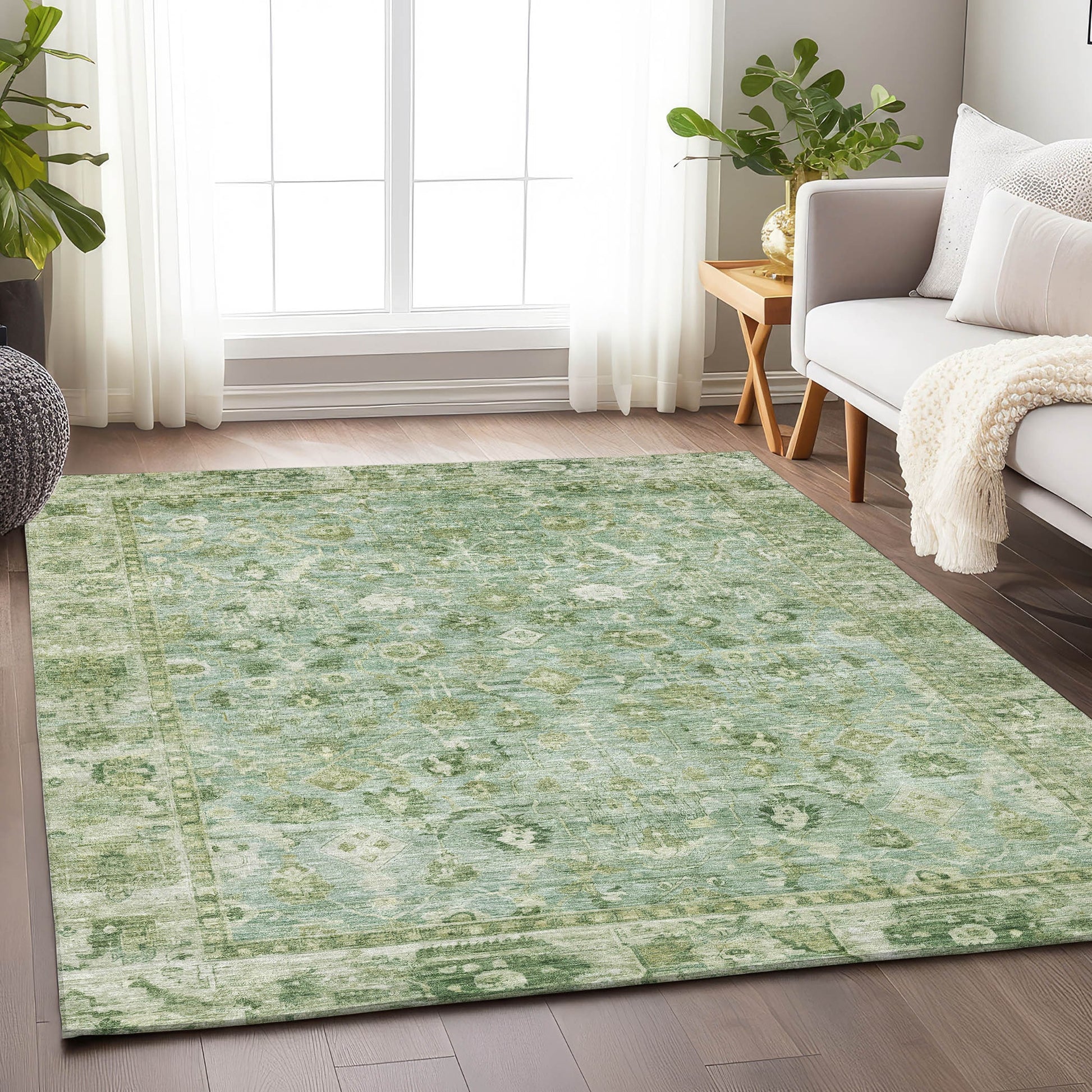 Addison Rugs Chantille ACN1772AL 9 x 12 (ft) Loomed Polyester Aloe Rectangular Indoor/Outdoor Machine washable Pet Friendly Area rug