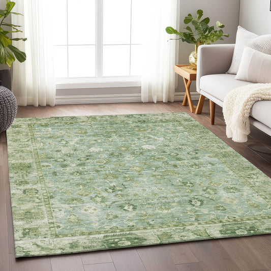 Addison Rugs Chantille ACN1772AL 9 x 12 (ft) Loomed Polyester Aloe Rectangular Indoor/Outdoor Machine washable Pet Friendly Area rug