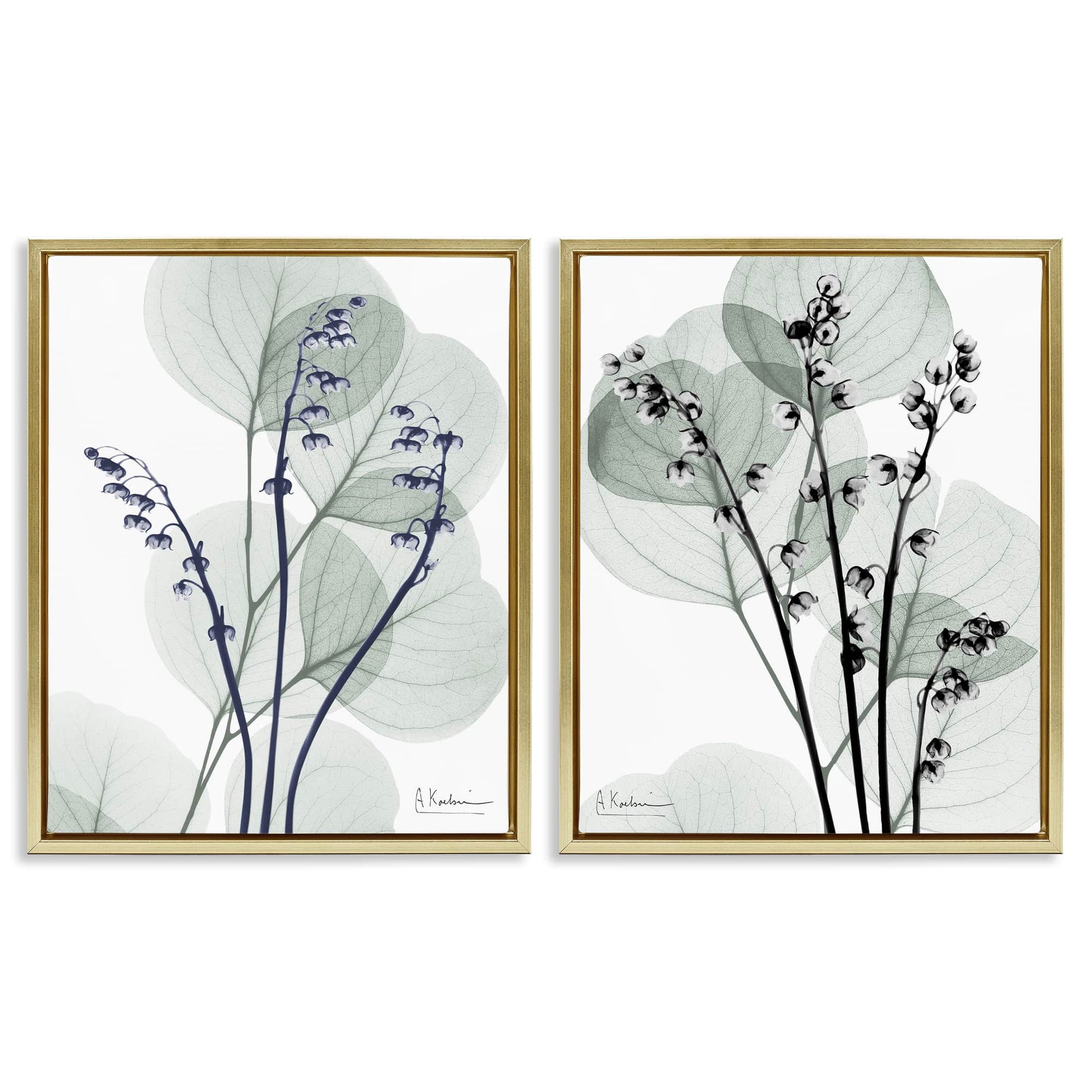 Stupell Industries  Future Dusk Opaque Herbs 2pc Floating Frame Set Design by Albert Koetsier