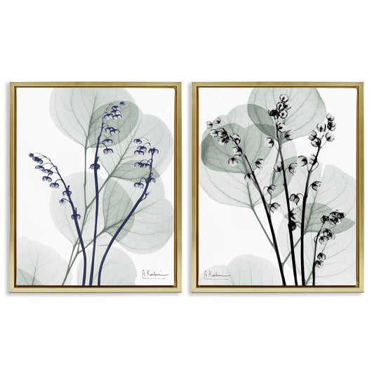 Stupell Industries  Future Dusk Opaque Herbs 2pc Floating Frame Set Design by Albert Koetsier