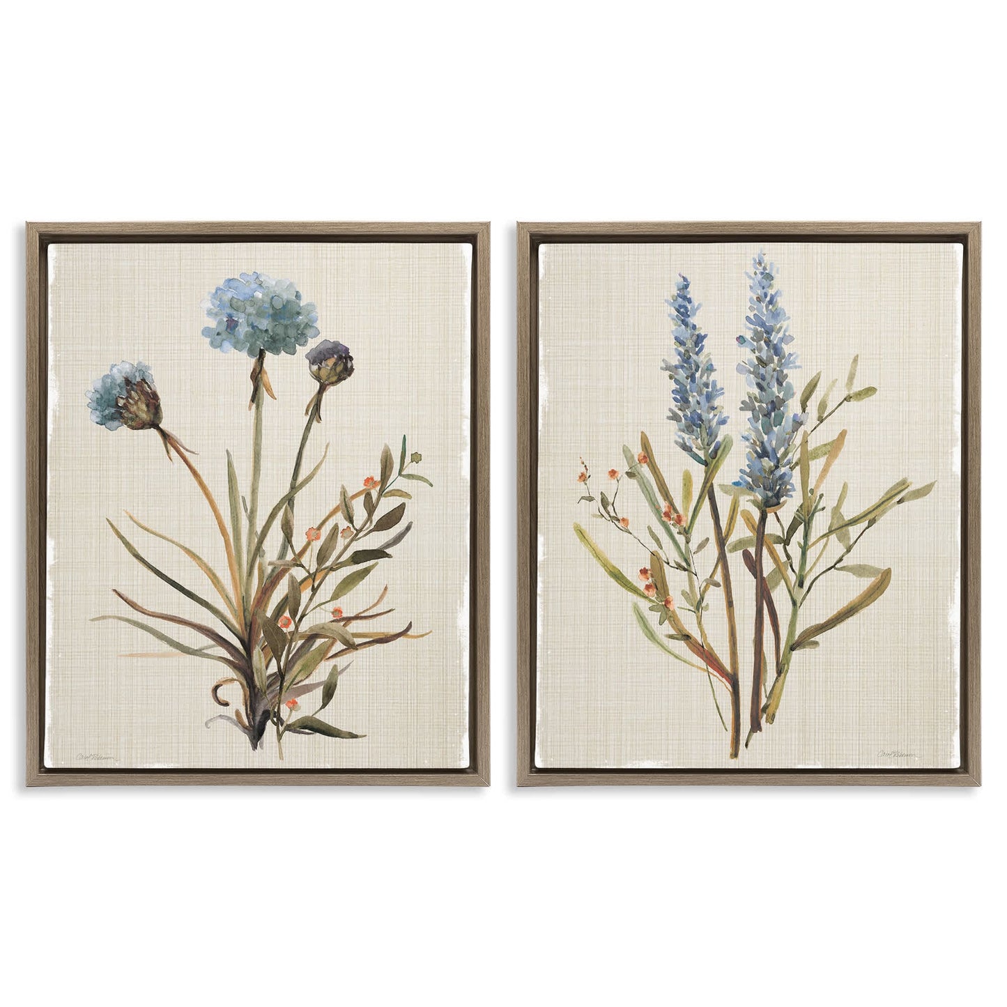 Stupell Industries  Natural Budding Blooms 2 Piece Brown Framed Floater Canvas Set By Carol Robinson 31 x 25