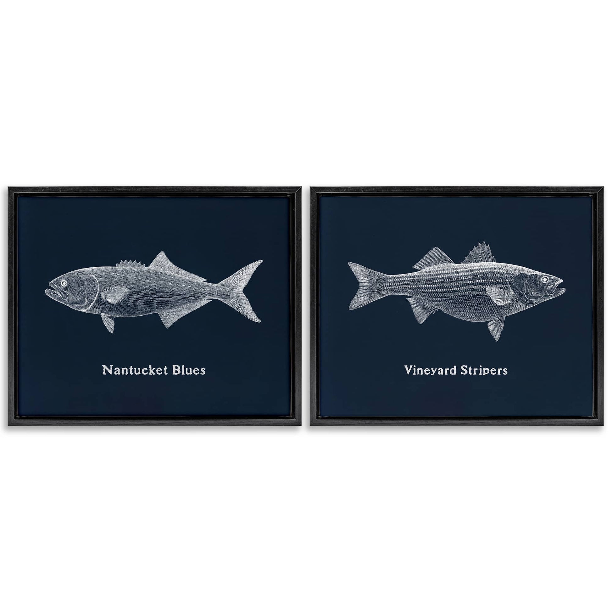 Stupell Industries  Harbor Fish Phrases 2 Piece Black Framed Floater Canvas Set By Phillipa Katz 31 x 25