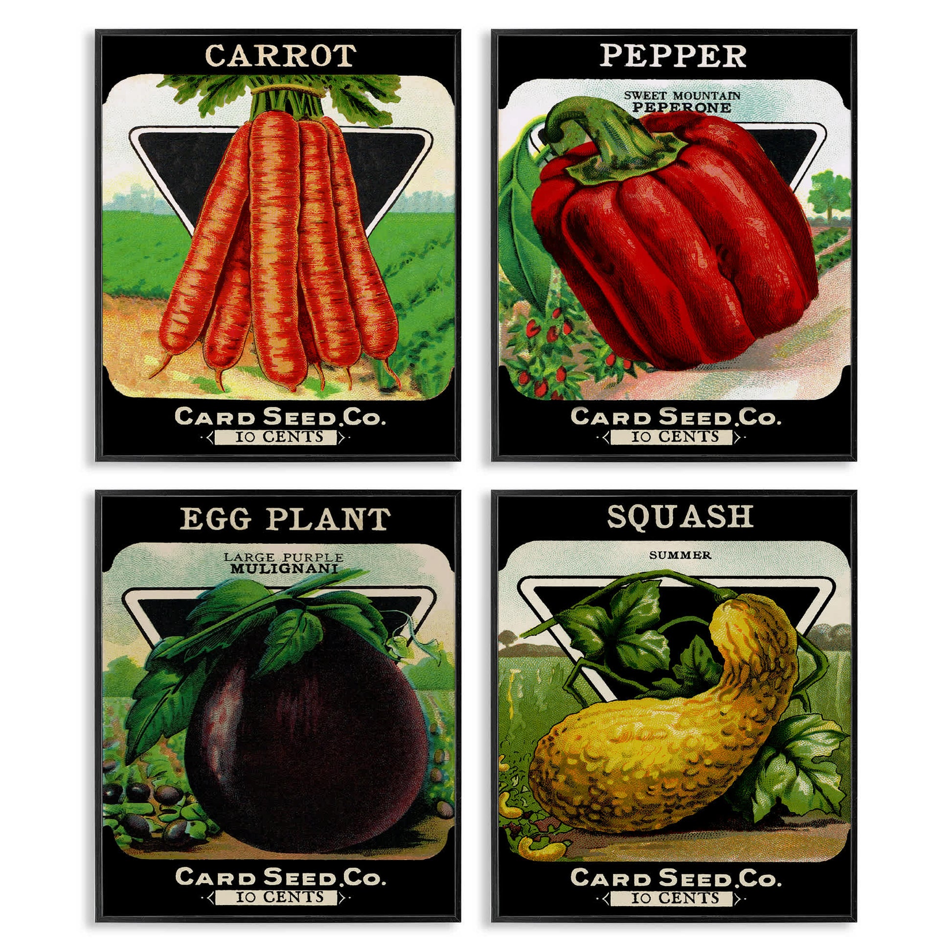 Stupell Industries  Vintage Farm Garden Vegetables 4pc Framed Giclee Set Design by Lil' Rue