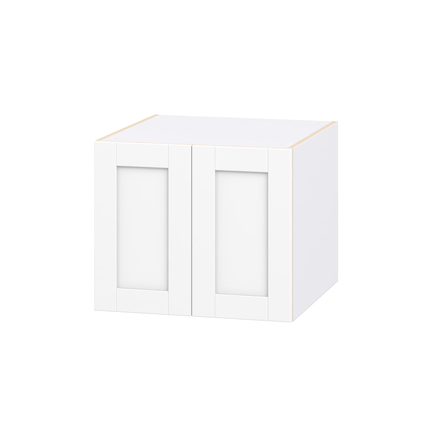 Hugo&Borg Rosemont 24-in W x 20-in H x 24-in D Bright White Wall Fully Assembled Cabinet Recessed Panel Shaker