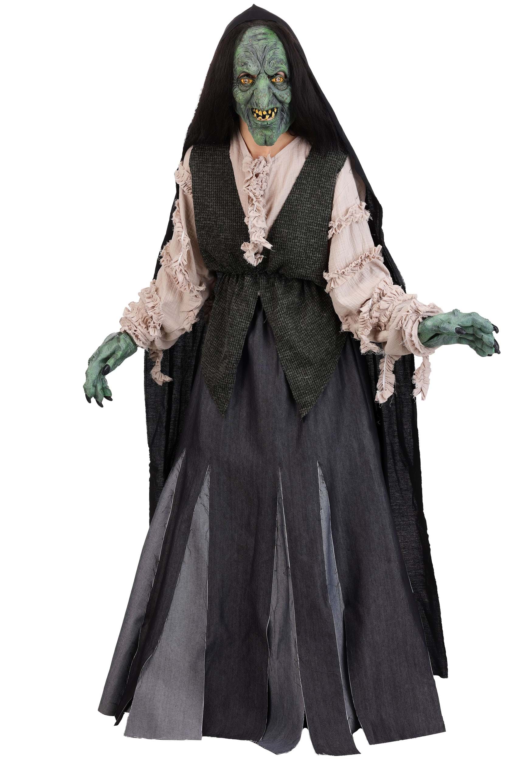 HalloweenCostumes.com FUN Costumes Premium Evil Green Witch Adult Costume Scary Witch Costumes Large/X-Large