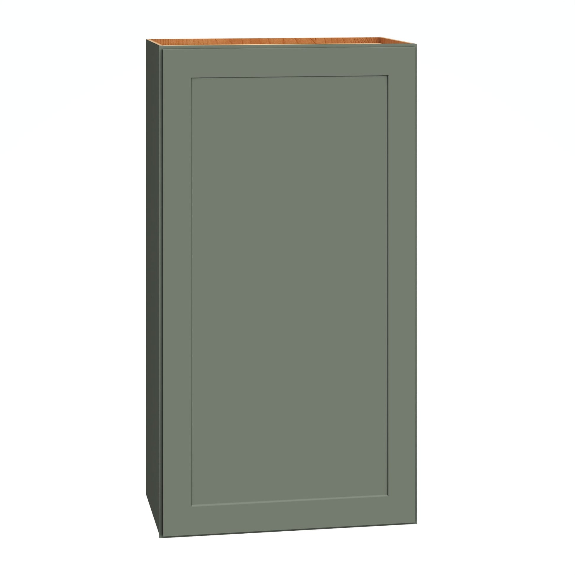 Diamond Express Jamestown 21-in W x 39-in H x 12-in D Retreat Green Wall Fully Assembled Plywood Cabinet Recessed Panel Shaker