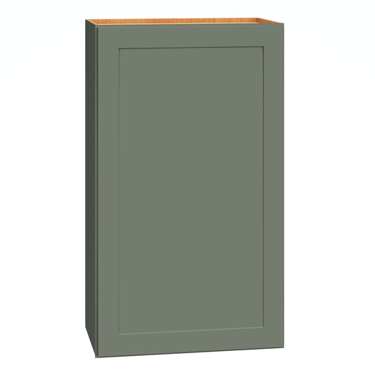 Diamond Express Jamestown 21-in W x 36-in H x 12-in D Retreat Green Wall Fully Assembled Plywood Cabinet Recessed Panel Shaker