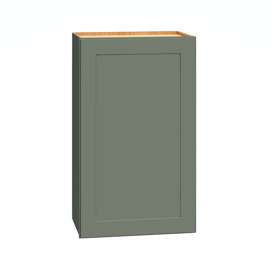 Diamond Express Jamestown 18-in W x 30-in H x 12-in D Retreat Green Wall Fully Assembled Plywood Cabinet Recessed Panel Shaker