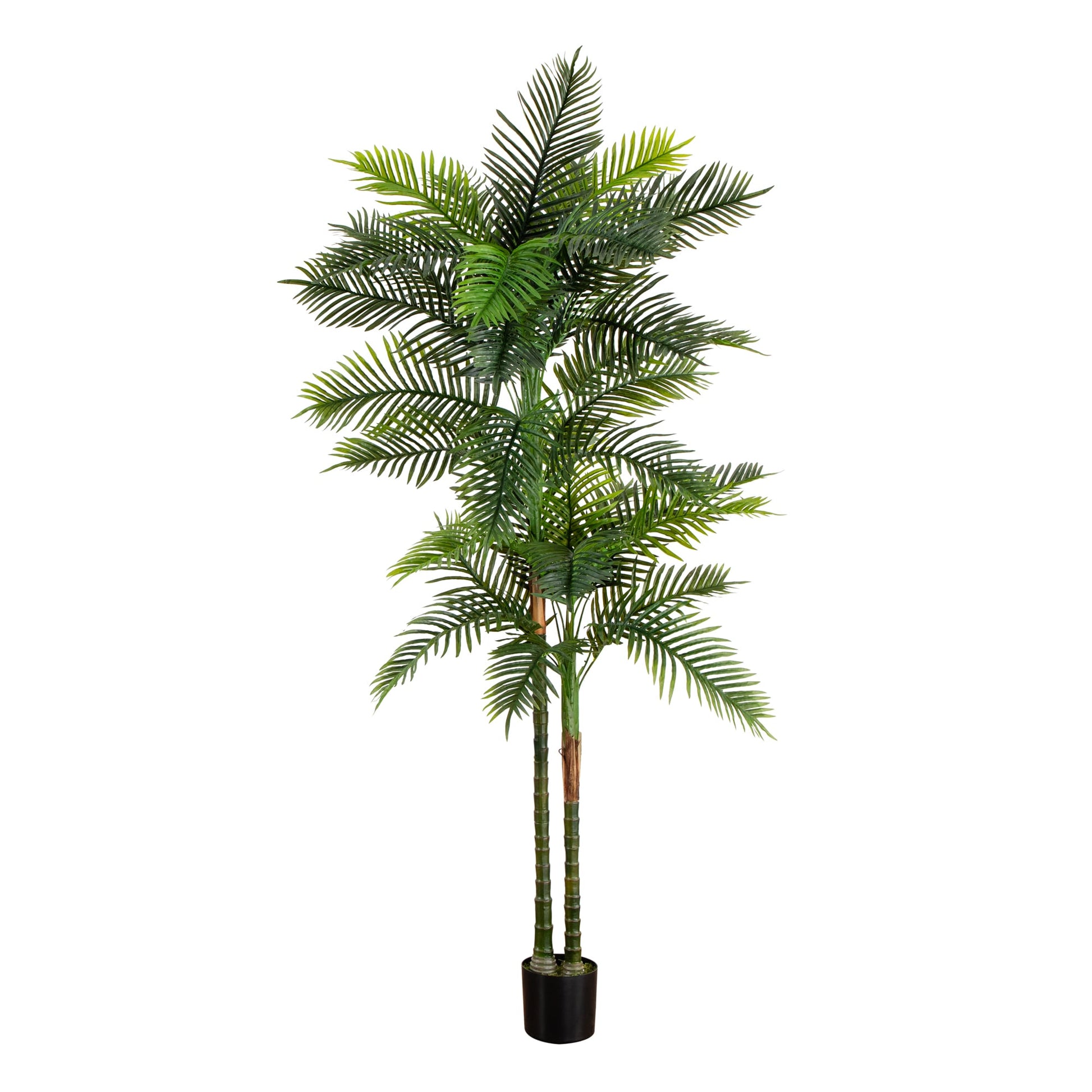 Nearly Natural  8-ft UV Resistant Artificial Double Robellini Palm Tree (Indoor/Outdoor)