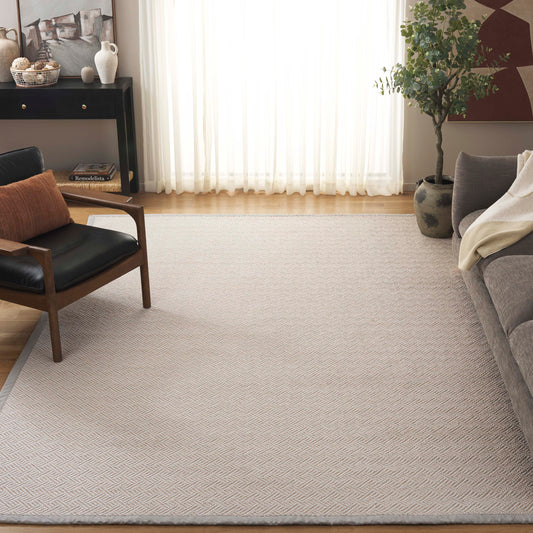 Safavieh Napa Faux Sisal 148 Jacquard Weave With Beige Border 8ft x 10ft Contemporary Rug