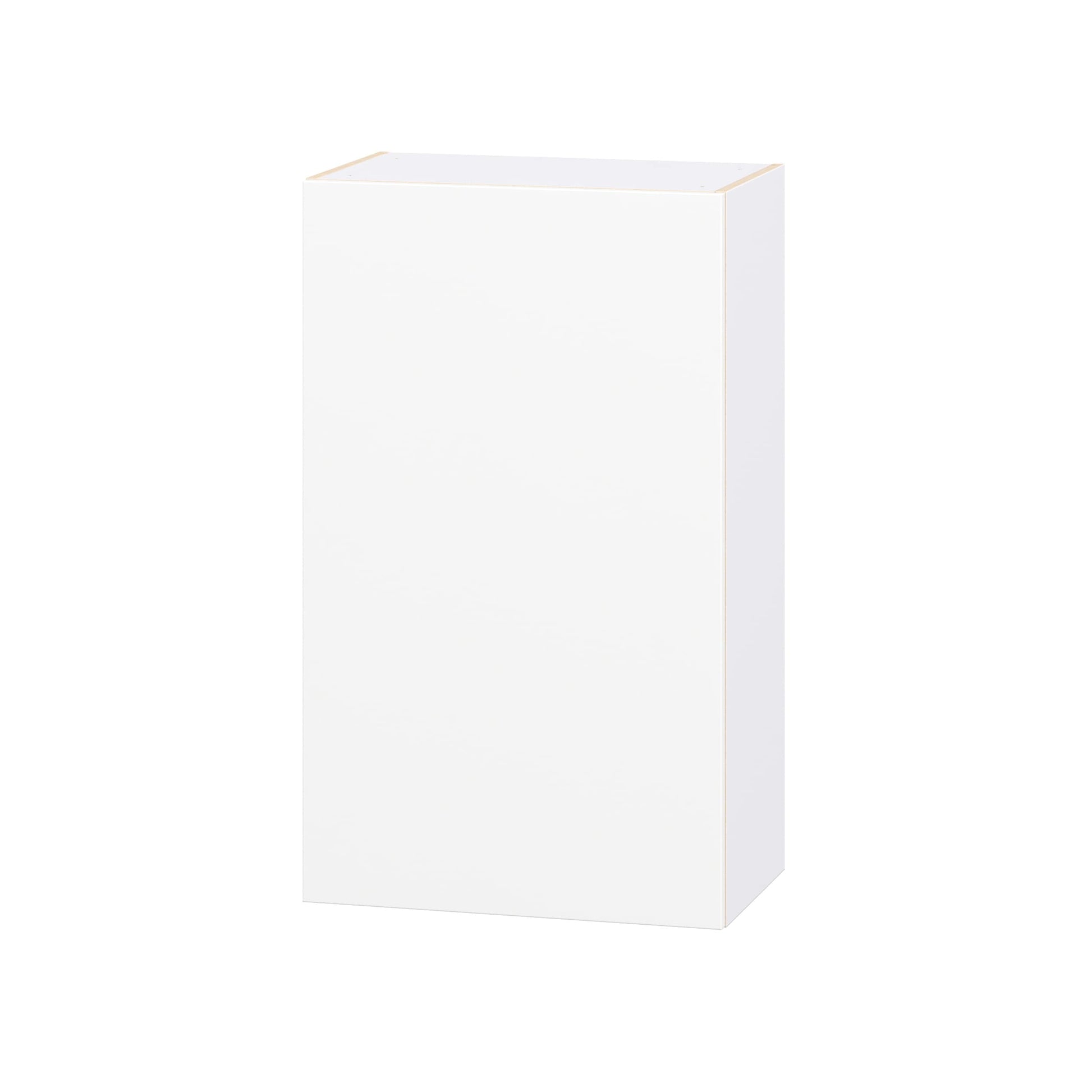 Hugo&Borg Lasalle 24-in W x 40-in H x 14.75-in D Bright White Slab Wall Fully Assembled Cabinet Flat Panel Slab