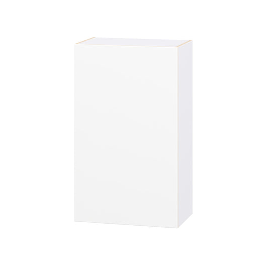 Hugo&Borg Lasalle 24-in W x 40-in H x 14.75-in D Bright White Slab Wall Fully Assembled Cabinet Flat Panel Slab