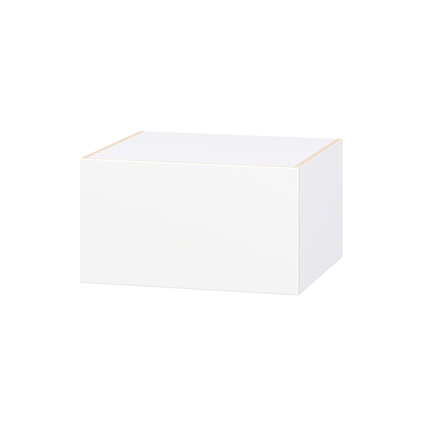 Hugo&Borg Lasalle 27-in W x 15-in H x 24-in D Bright White Slab Wall Fully Assembled Cabinet Flat Panel Slab