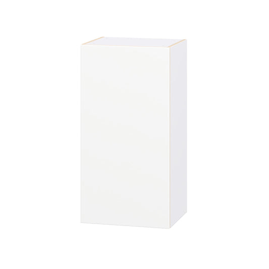 Hugo&Borg Lasalle 18-in W x 35-in H x 14.75-in D Bright White Slab Wall Fully Assembled Cabinet Flat Panel Slab
