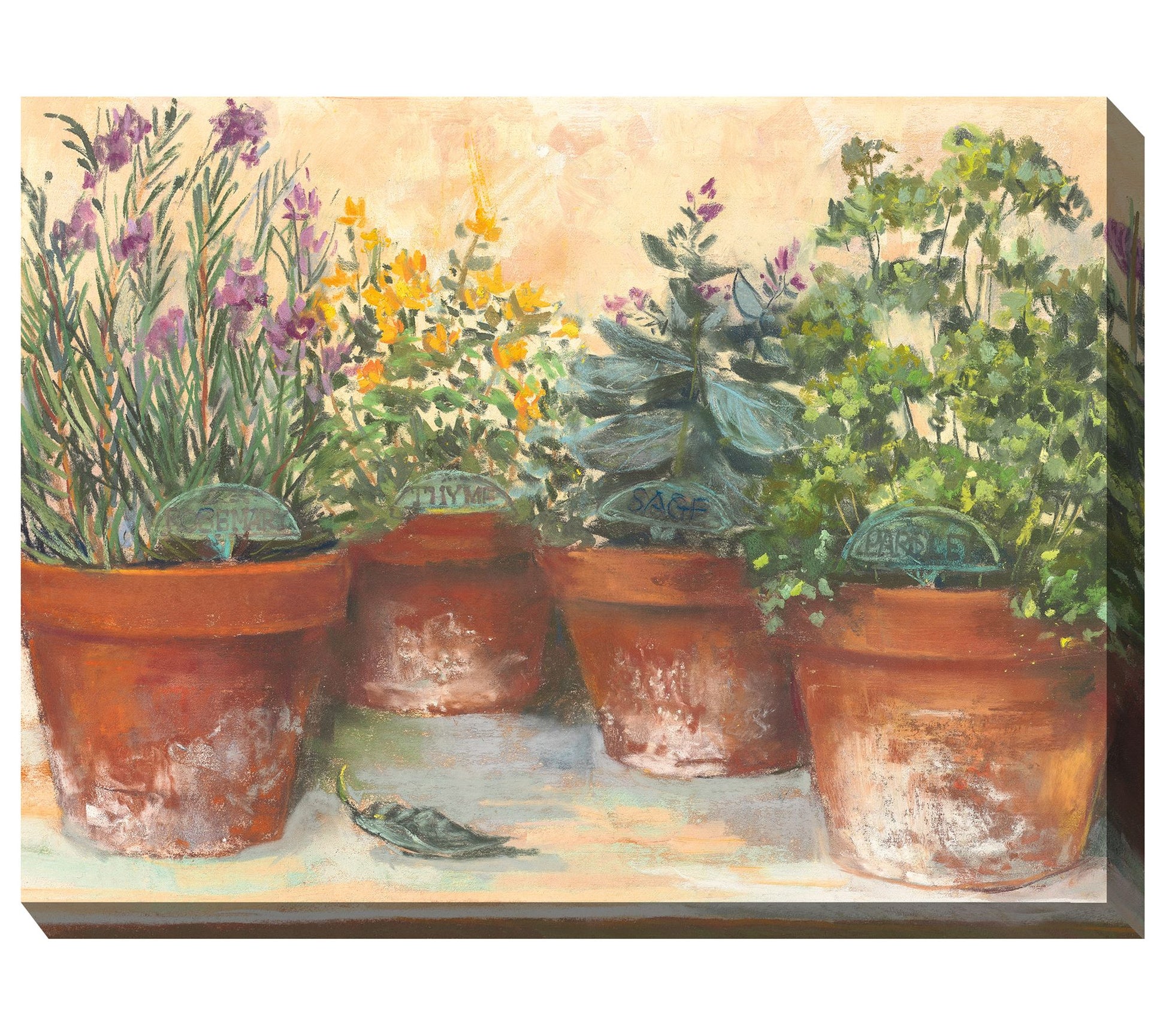 West of the Wind Outdoor Canvas Art Herb Pots 40" x 30"