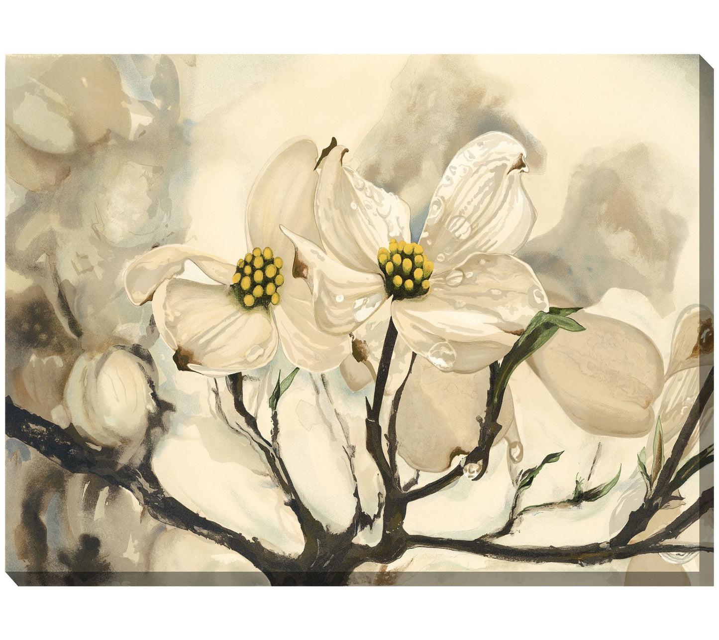West of the Wind Outdoor Canvas Art Dogwood Wat ercolor 40"x30